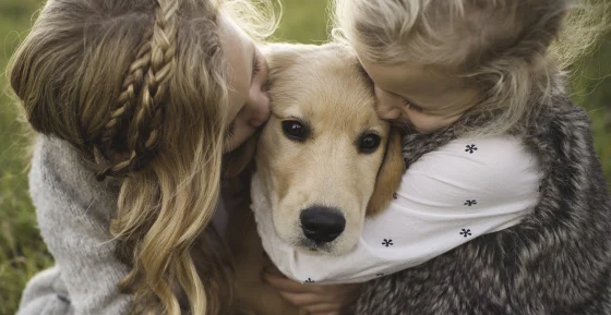 pet allergy